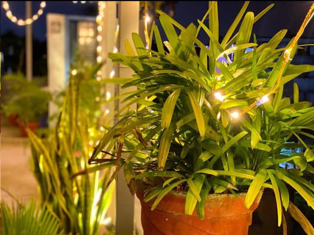 La Paradise Residency - Tie Hotels & Resorts ปอนดิเชอรี ภายนอก รูปภาพ